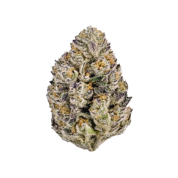 Lemon Cherry Runtz (Fast Buds) feminized