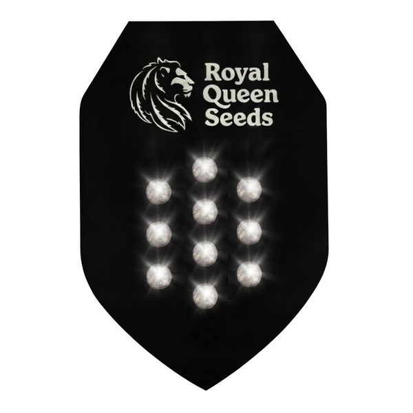 Autoflower Mystery Seed 10 (Royal Queen Seeds)