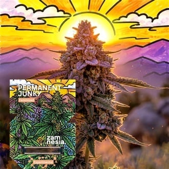 Permanent Junky (Zamnesia Seeds) Feminized