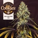 French Cookies (TH Seeds) Feminized