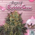 Bubblegum (T.H. Seeds) Feminized