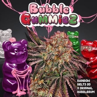 Bubblegummiez (T.H.Seeds) feminized