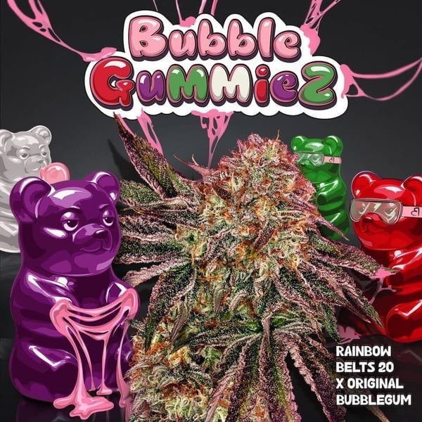BubbleGummieZ (T.H. Seeds) Feminized