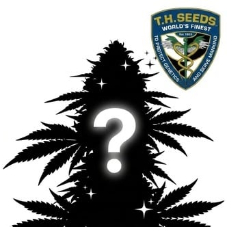 Autoflower Mystery Seeds 2 (T.H. Seeds)