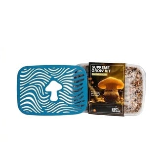 Mushroom Anniversary Pack