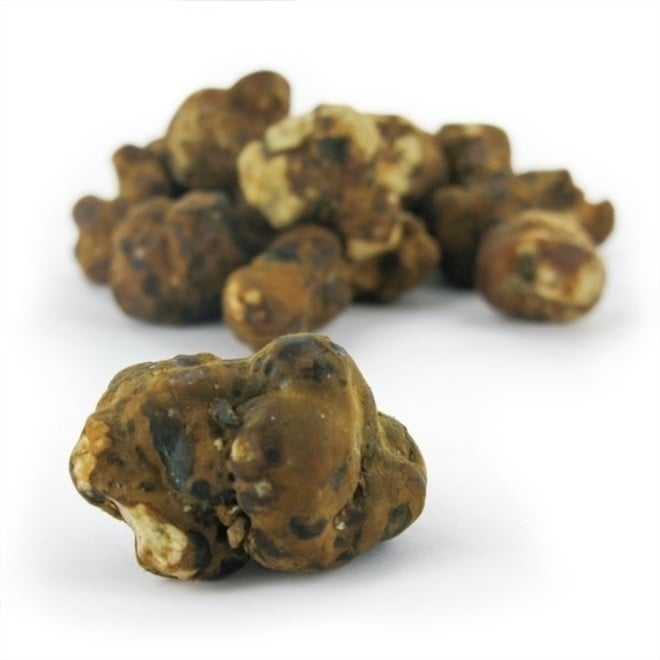 Buy Magic Truffles Mexicana | Natural psilocybin Truffles