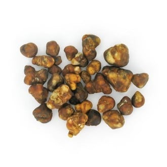 Pajaritos Magic Truffles