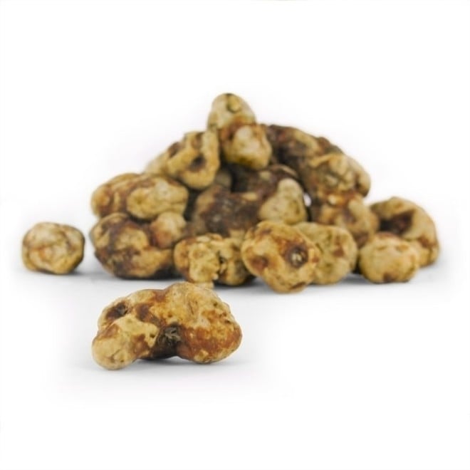 Buy Magic truffles Tampanensis | Natural psilocybin Truffles