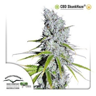 CBD Skunk Haze (Dutch Passion) feminized