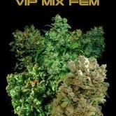 VIP Mix (VIP Seeds) feminized