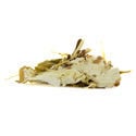White Lotus (20 grams)