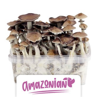 Zamnesia Grow Kit 'PES Amazonian'