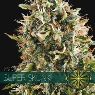 Super Skunk (Vision Seeds) feminisiert