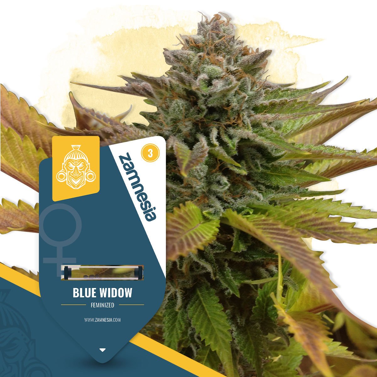 Blue Widow Feminisiert (Dinafem Seeds)