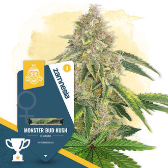 Monster Bud Kush (Zamnesia Seeds) feminisiert