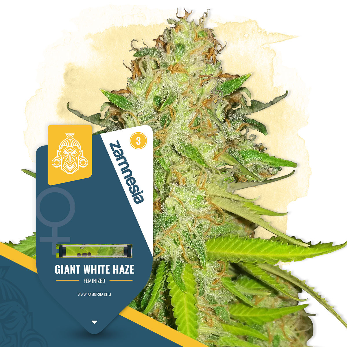 Giant White Haze Feminisiert (Zamnesia)