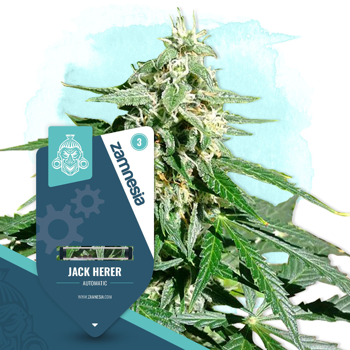 Nothern Lights Feminisiert (Sensi Seeds)