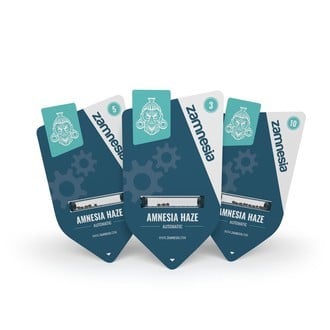 Amnesia Haze Autoflower (Zamnesia Seeds) feminized