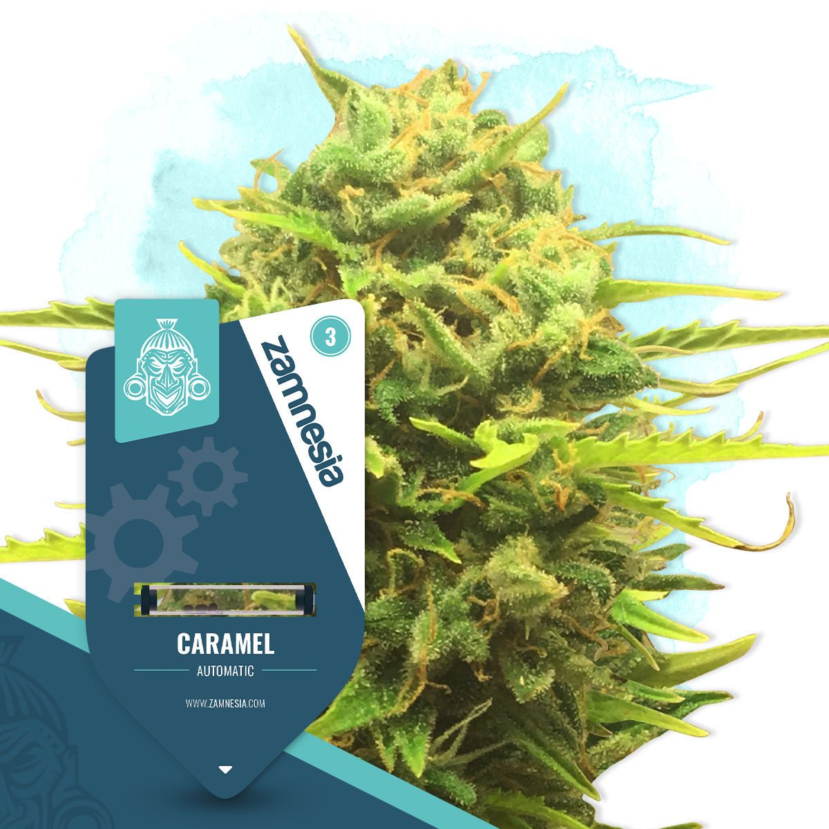 Caramel Auto (Zamnesia)
