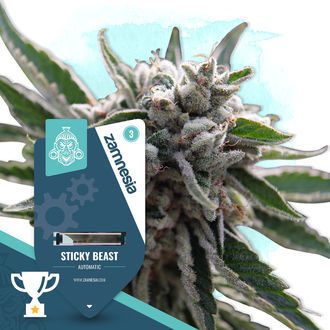 Sticky Beast Automatic (Zamnesia Seeds) feminisiert