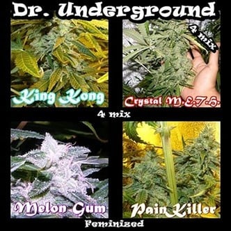 Killer Mix (Dr. Underground) feminized