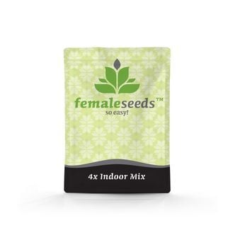 Indoor Mix (Female Seeds) feminized