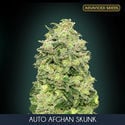 Auto Afghan Skunk (Advanced Seeds) feminisiert