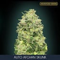 Auto Afghan Skunk (Advanced Seeds) feminized