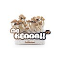 Fresh Mushrooms Grow Kit 'McKennaii'