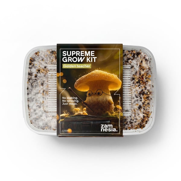 Zamnesia SUPREME Grow Kit 'Golden Teacher'