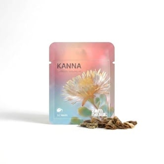 Kanna (Sceletium tortuosum) 10 seeds