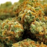 Indian Kush (VIP Seeds) feminized