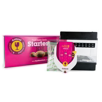 Royal Queen Seeds Starters Kit