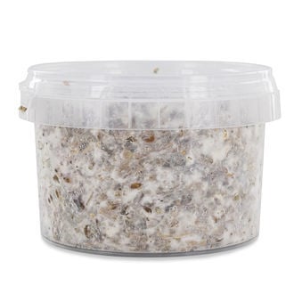 Outdoor-Set fĂŒr Magic Mushrooms (Azurescens)