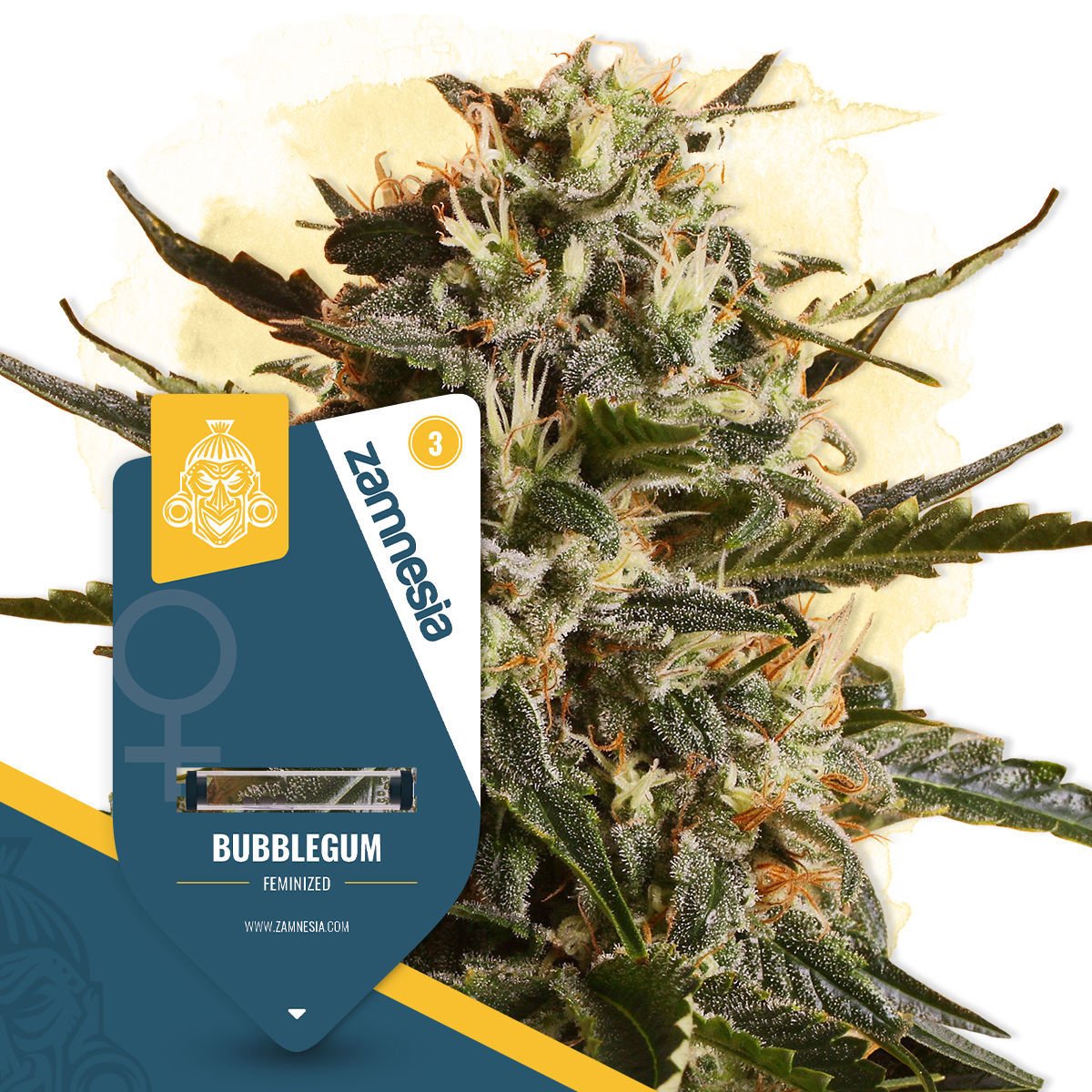 Bubble Gum Feminisiert (Zamnesia)
