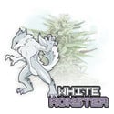 White Monster Automatic (Zamnesia Seeds) feminisiert