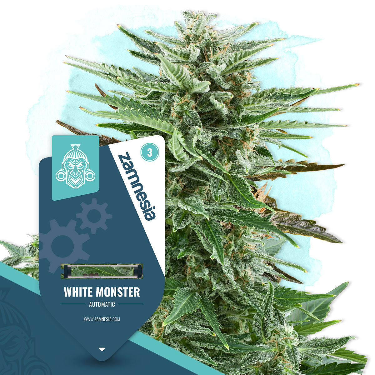 White Monster Autoflower | Cannabis Seeds | Highest Quality - Zamnesia
