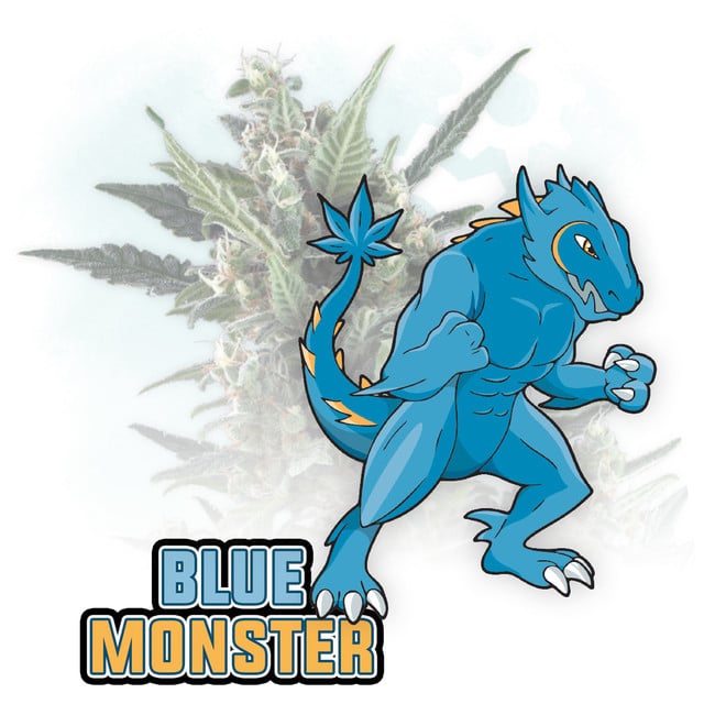 Blue Monster Automatic | Zamnesia Seeds | Cannabis Seeds - Zamnesia