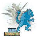 Blue Monster Automatic (Zamnesia Seeds) feminisiert