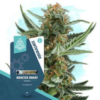 Monster Dwarf Automatic (Zamnesia Seeds) feminized