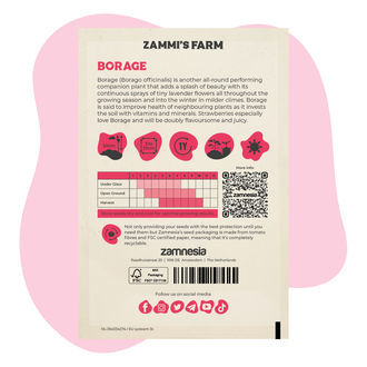 Borage (Borago officinalis) Buddy Pack