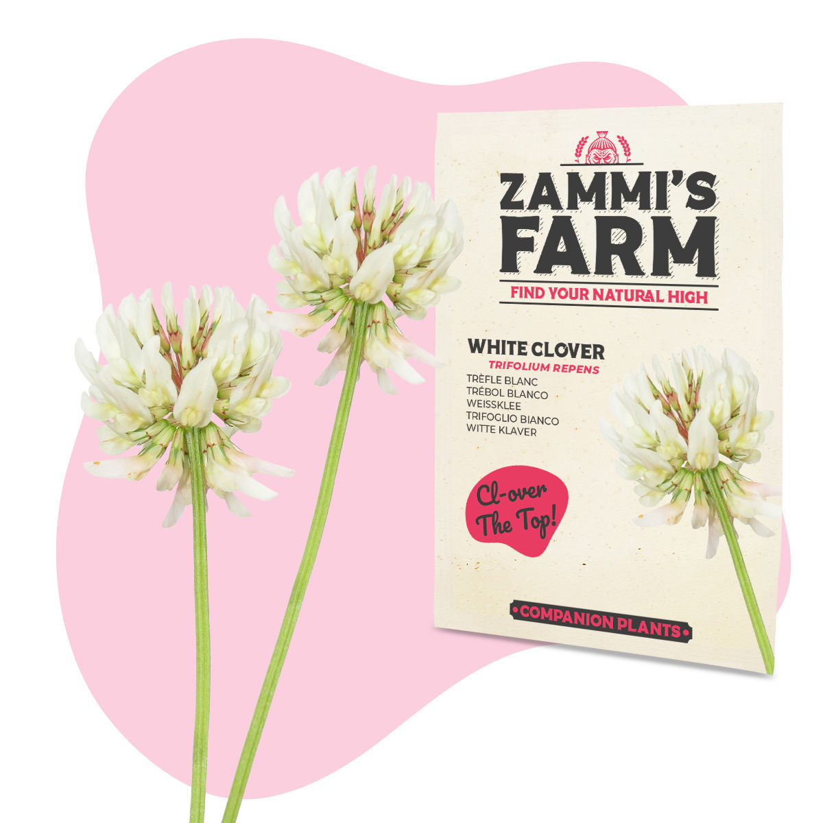 Salvia blanca - Zamnesia Blog