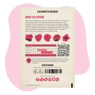 Red Clover (Trifolium pratense) Buddy Pack