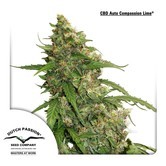 CBD Auto Compassion Lime (Dutch Passion) feminized