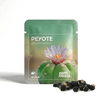 Peyote (Lophophora williamsii) 20 seeds