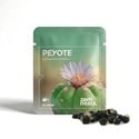 Peyote (Lophophora williamsii) 20 seeds