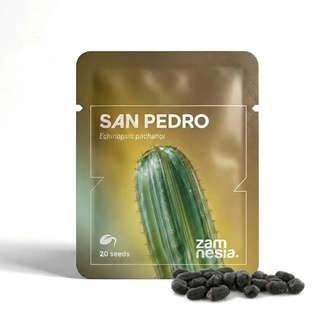 San Pedro (Echinopsis pachanoi) 20 seeds