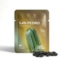 San Pedro (Echinopsis pachanoi) 20 seeds