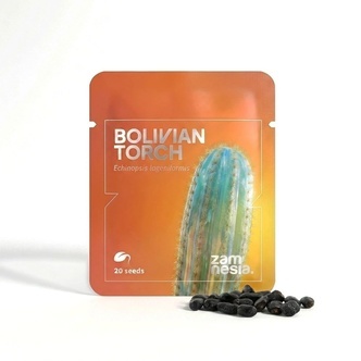 Bolivian Torch (Echinopsis lageniformis) 20 seeds