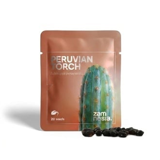 Zamnesia Peruvian Torch (Echinopsis peruviana) 20 seeds